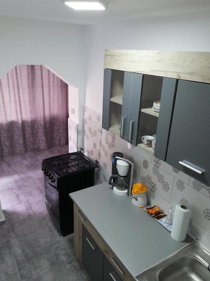 Apartament Brezoi Διαμέρισμα Εξωτερικό φωτογραφία