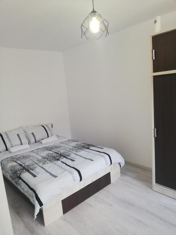 Apartament Brezoi Διαμέρισμα Εξωτερικό φωτογραφία