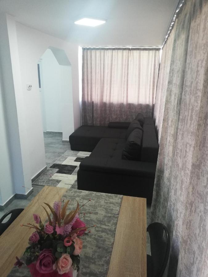 Apartament Brezoi Διαμέρισμα Εξωτερικό φωτογραφία